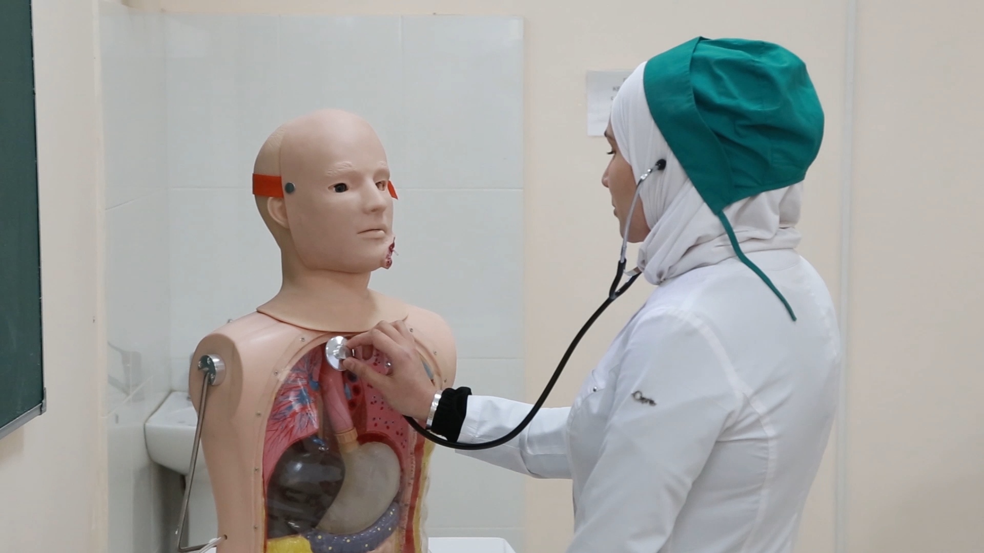 II этап первичной аккредитации специалистов направления «Лечебное дело»